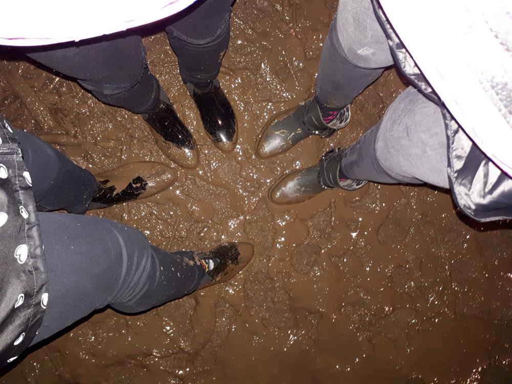 muddy fields at rolling stones concert